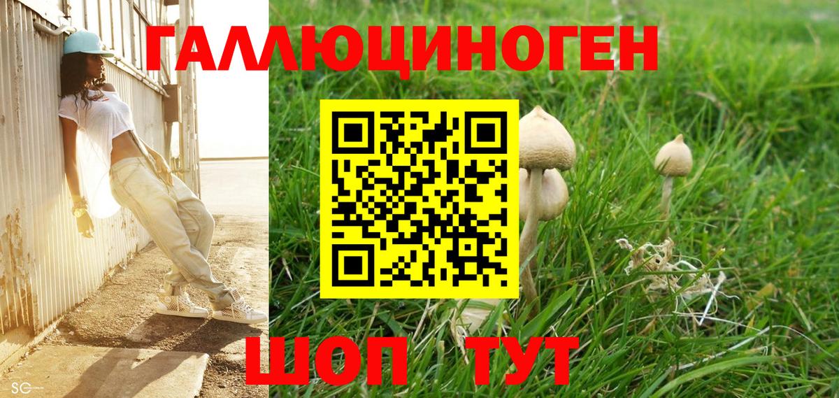 Псилоцибиновые грибы Cubensis  Псилоцибиновые грибы Cubensis  Королёв  Вход с VPN 